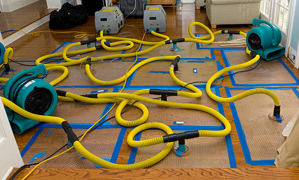 Professional Emergency Water Removal technician working in Harrington Park, NJ